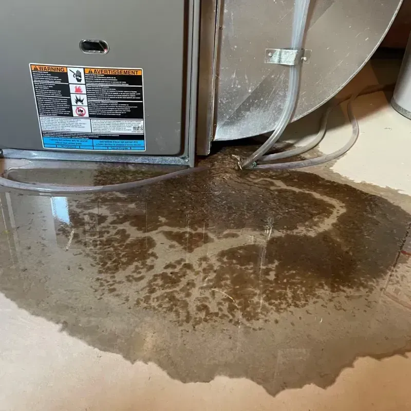 Appliance Leak Cleanup in Brookside, DE